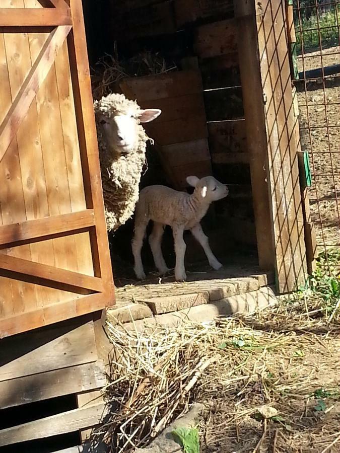 Tenuta Carabollace Sciacca Dış mekan fotoğraf
